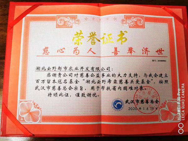 杜虎