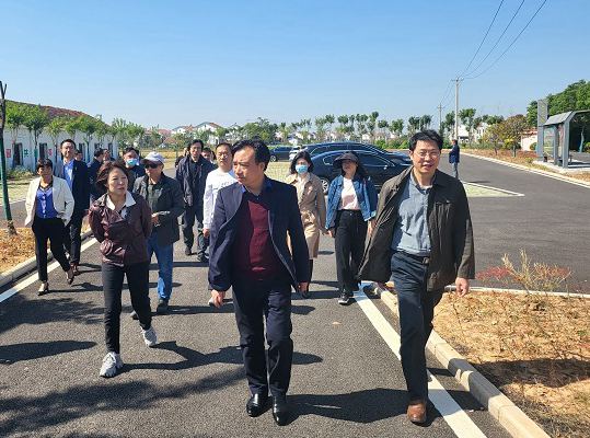 武漢民進(jìn)企聯(lián)會(huì)調(diào)研江夏區(qū)法泗鎮(zhèn)“水美鄉(xiāng)村”建設(shè) (1)