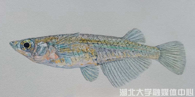 青_副本