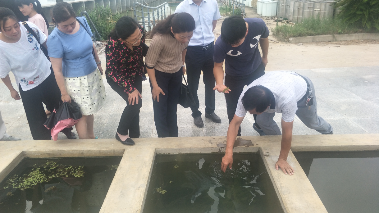 QQ截圖20190715163017