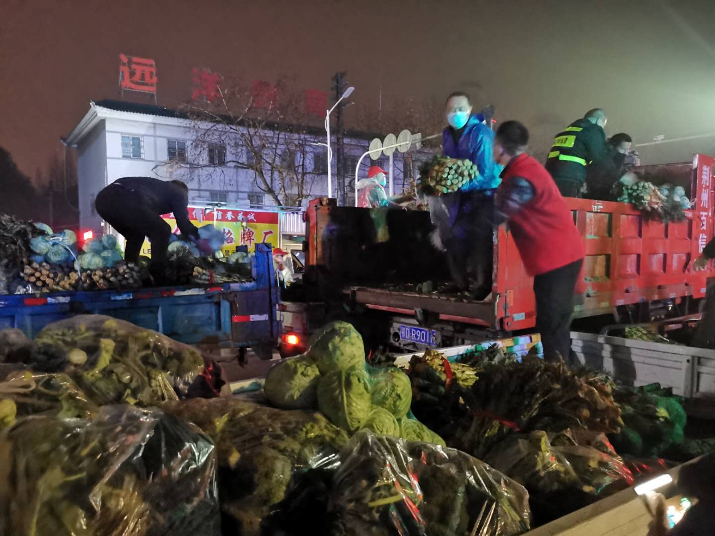 荊州捐菜2