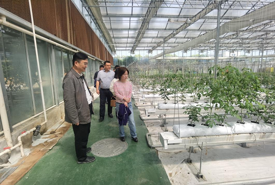 民進區(qū)工委走訪調(diào)研會員企業(yè) - 副本
