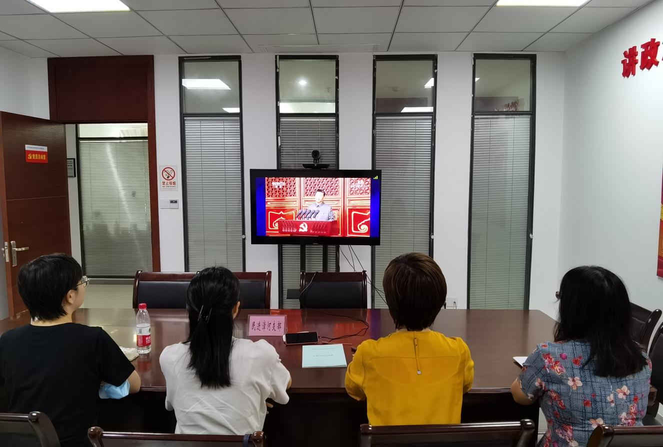 漳河新區(qū)集中收看建黨100周年慶祝大會