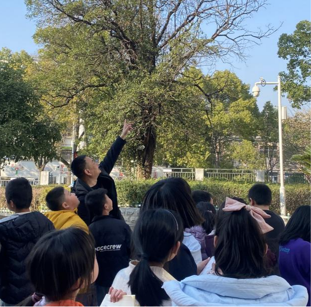 圖片4