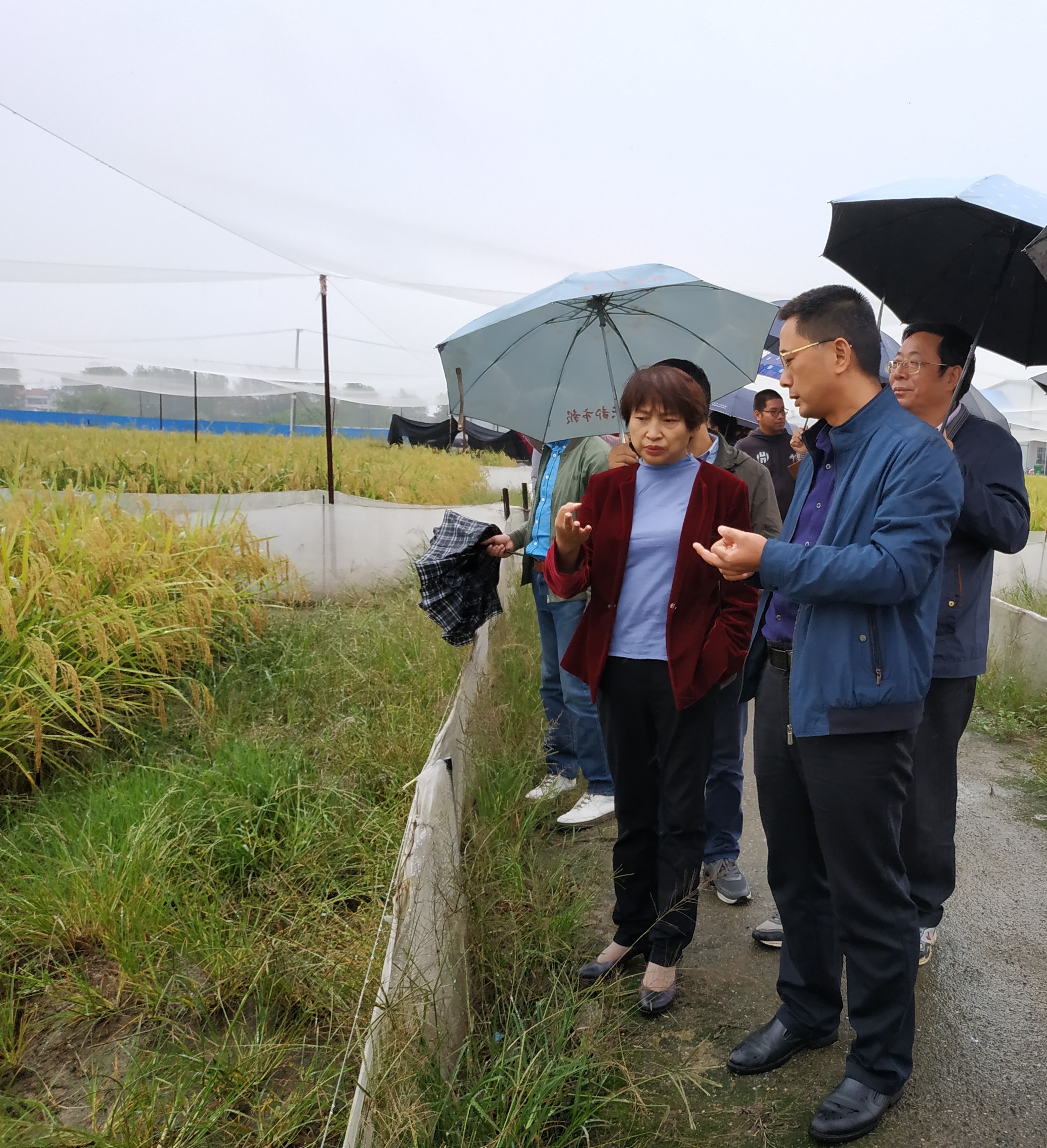 調(diào)研組在黃岡市現(xiàn)代農(nóng)業(yè)科技示范園實(shí)地調(diào)研
