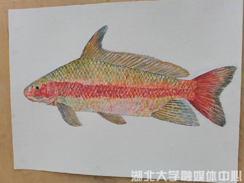 胭_副本